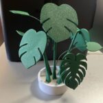 Set od pet podmetača za čaše monstera listovi složeni kao dekorativna biljka