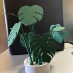 Set od pet podmetača za čaše monstera listovi složeni kao dekorativna biljka